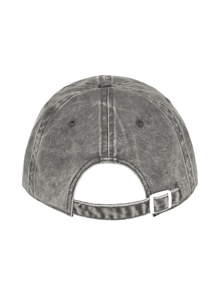 The Origins Vintage Dad Hat product image (2)