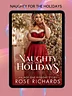 Naughty for the Holidays Ebook