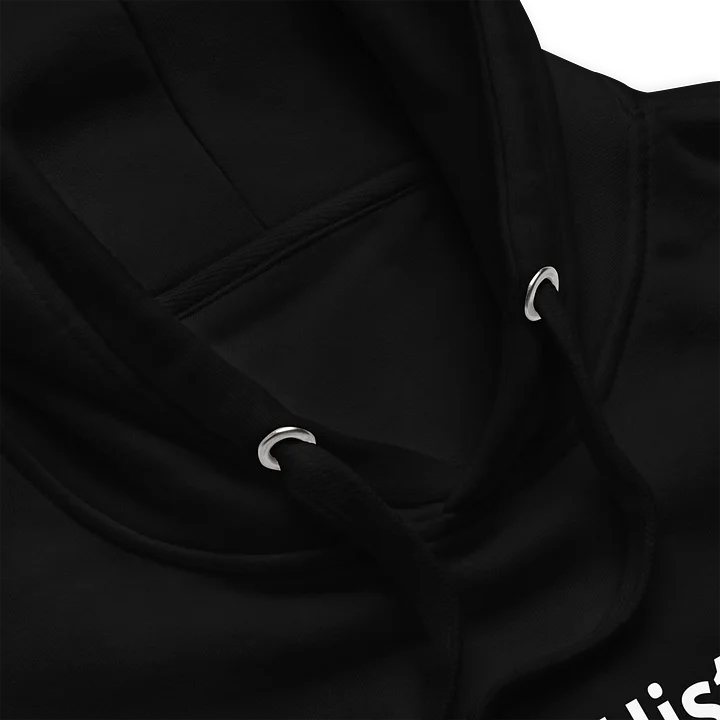 Black History Didn’t Start in the 1960s Hoodie product image (2)