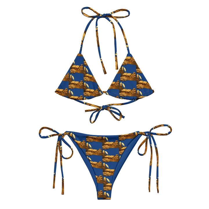 Kingdom Treasurer 2 Recycled Bikini Set product image (2)