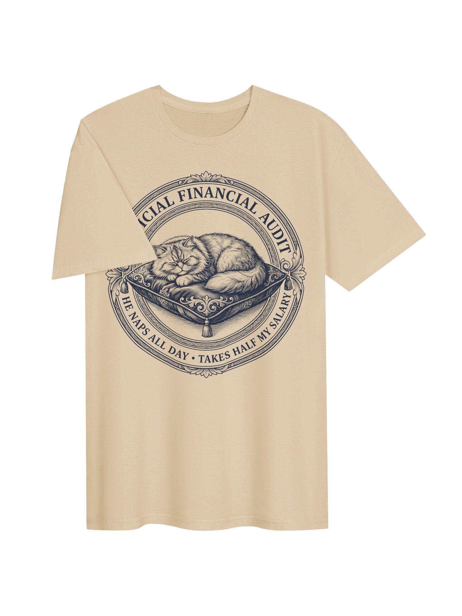 Financial Audit Cat T-Shirt product image (15)