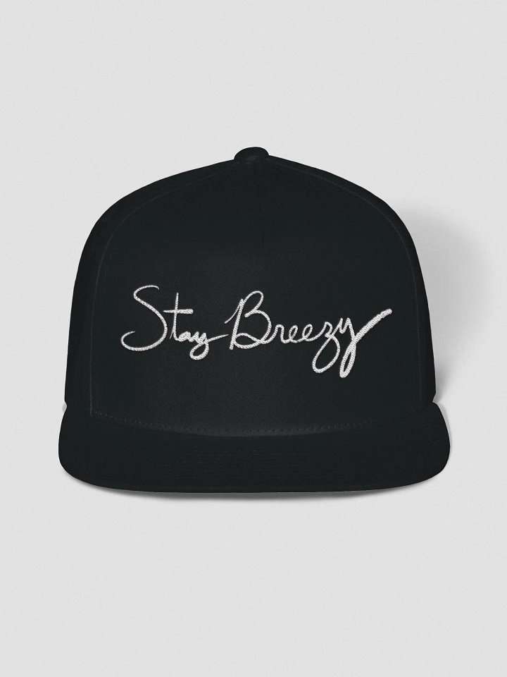 Stay Breezy Signature Snapback! product image (1)