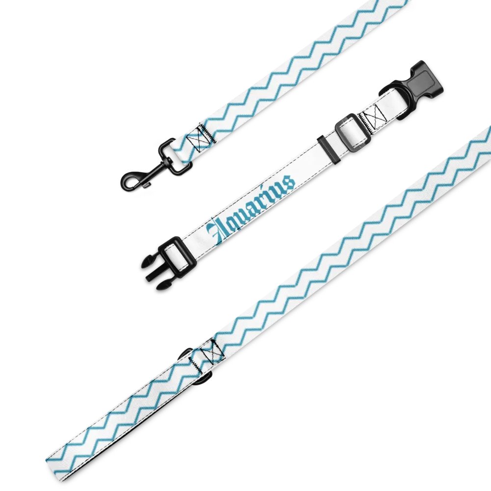 Glitchwave Aquarius Pet Collar & Leash Set product image (1)