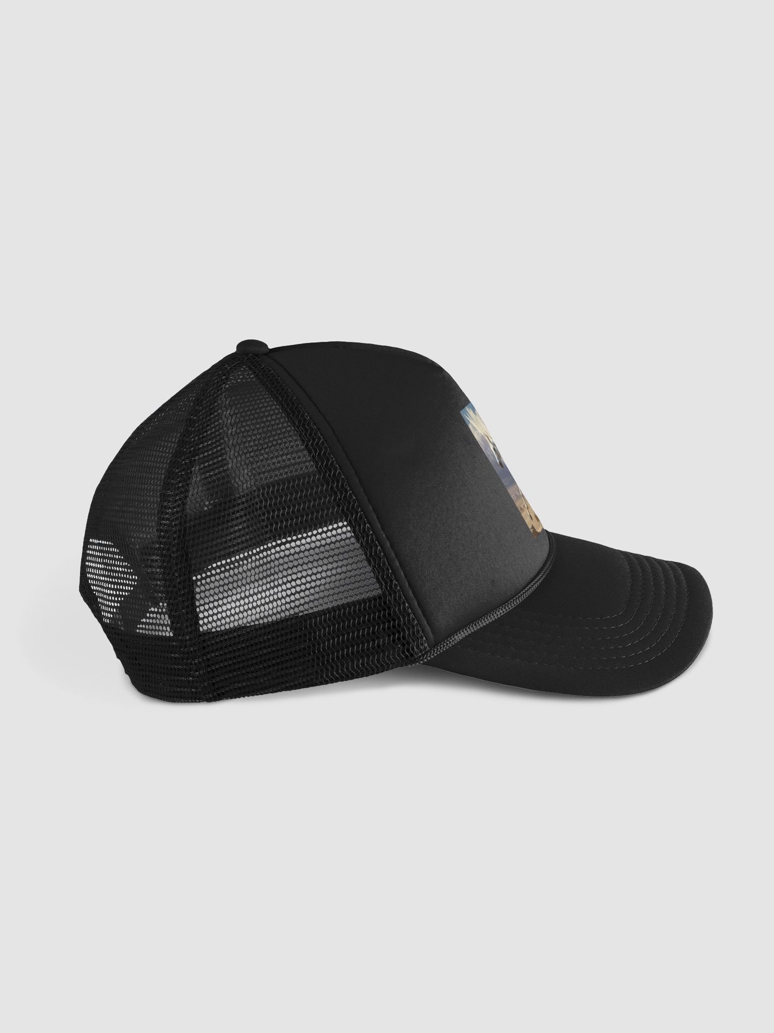 Pegasus product image (5)