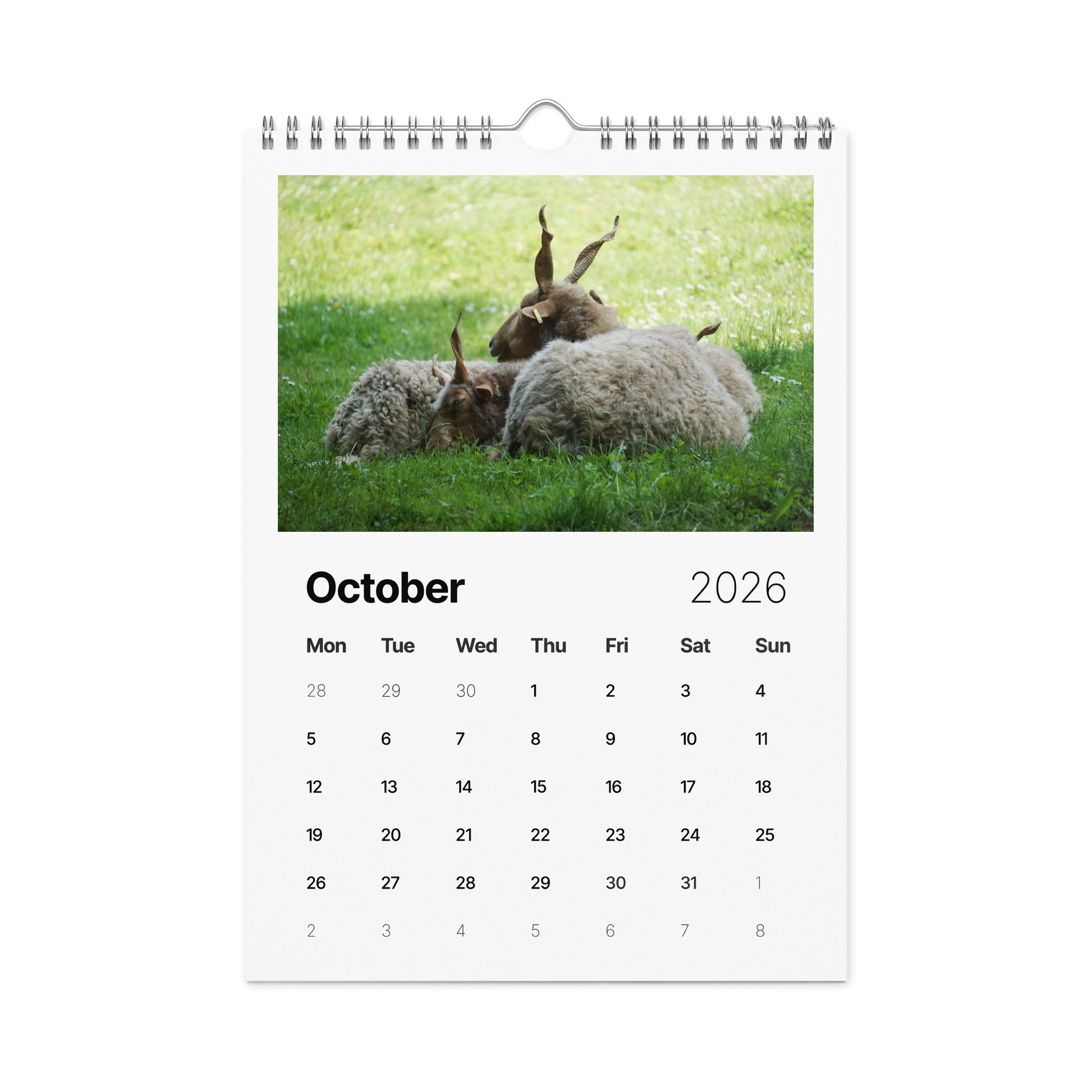 One Year, Twelve Animals: ESE 2026 Wall Calendar product image (12)