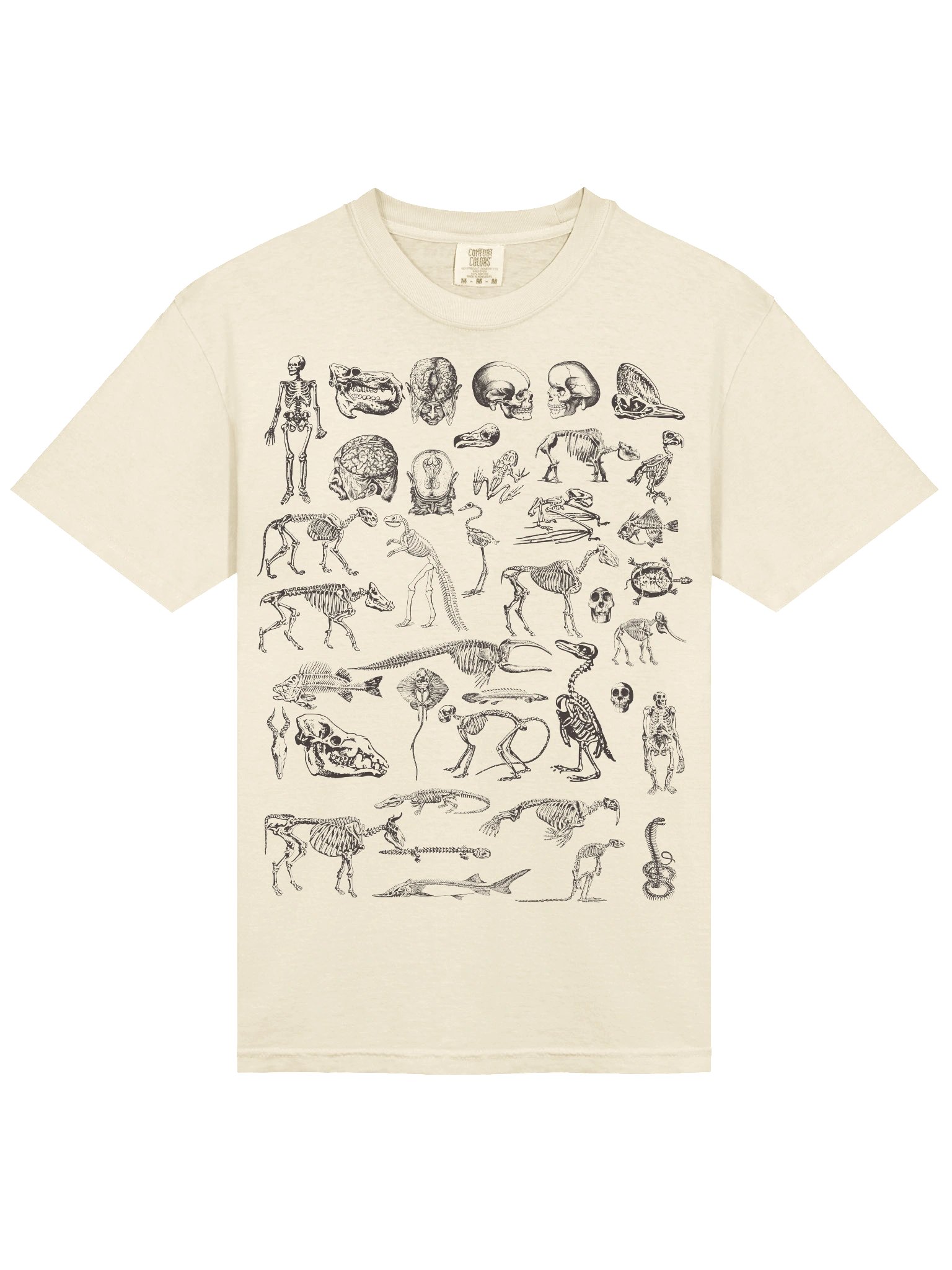Dark Academia Skeletons Shirt – Vintage Anatomy Bones Illustration Graphic Tee product image (65)