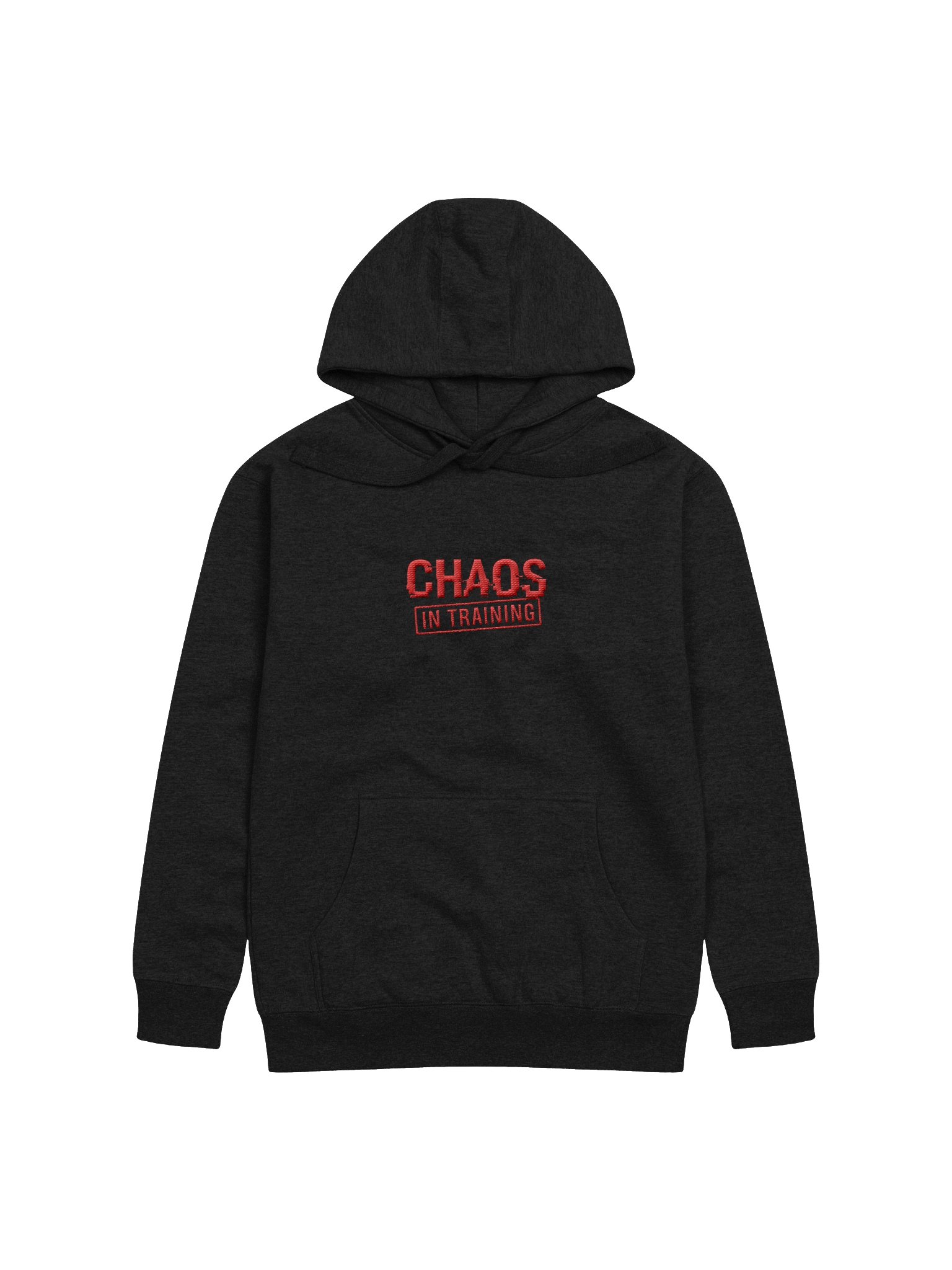 Chaos in Training Hoodie product image (3)