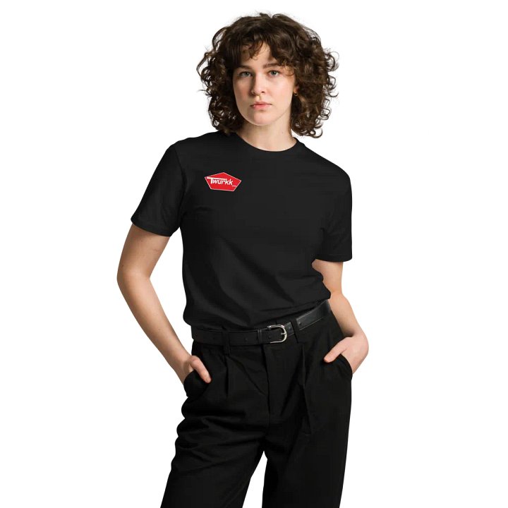 Unisex Premium T-Shirt product image (1)