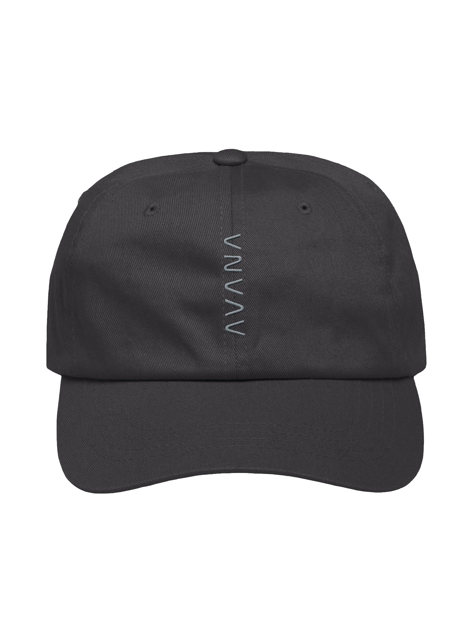 Dark Grey Dad Hat product image (1)