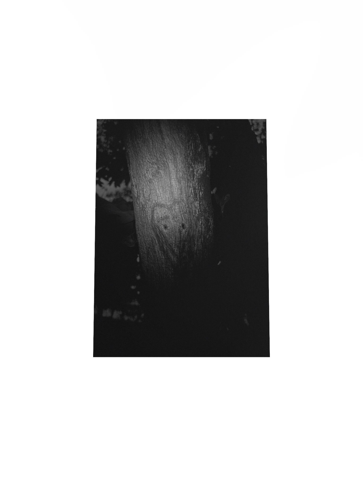 The carving (real image) poster product image (29)