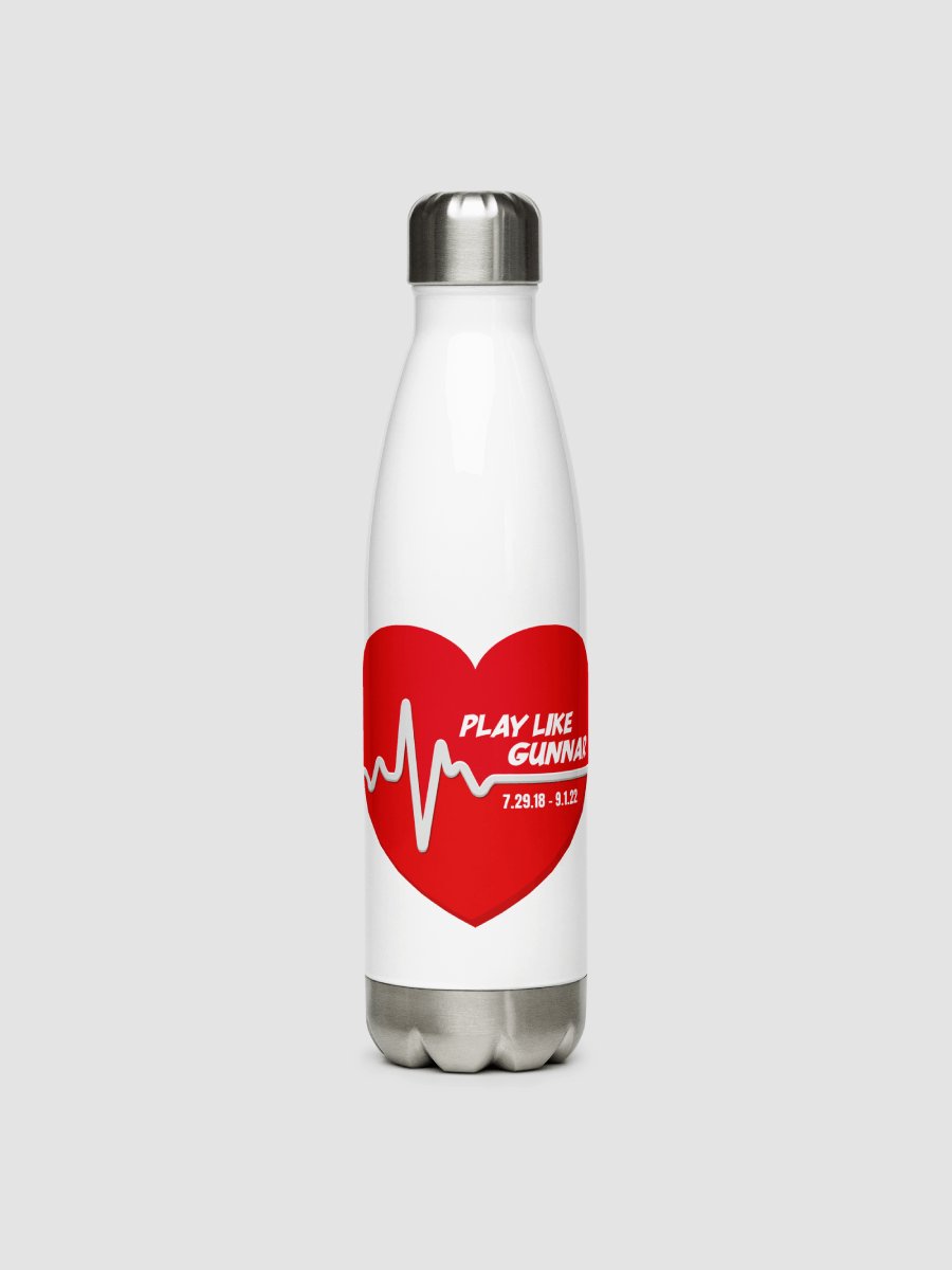 Stainless Steel Water Bottle product image (1)