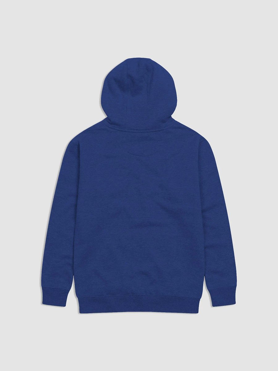 *SIGHS IN GAY* Hoodie product image (8)