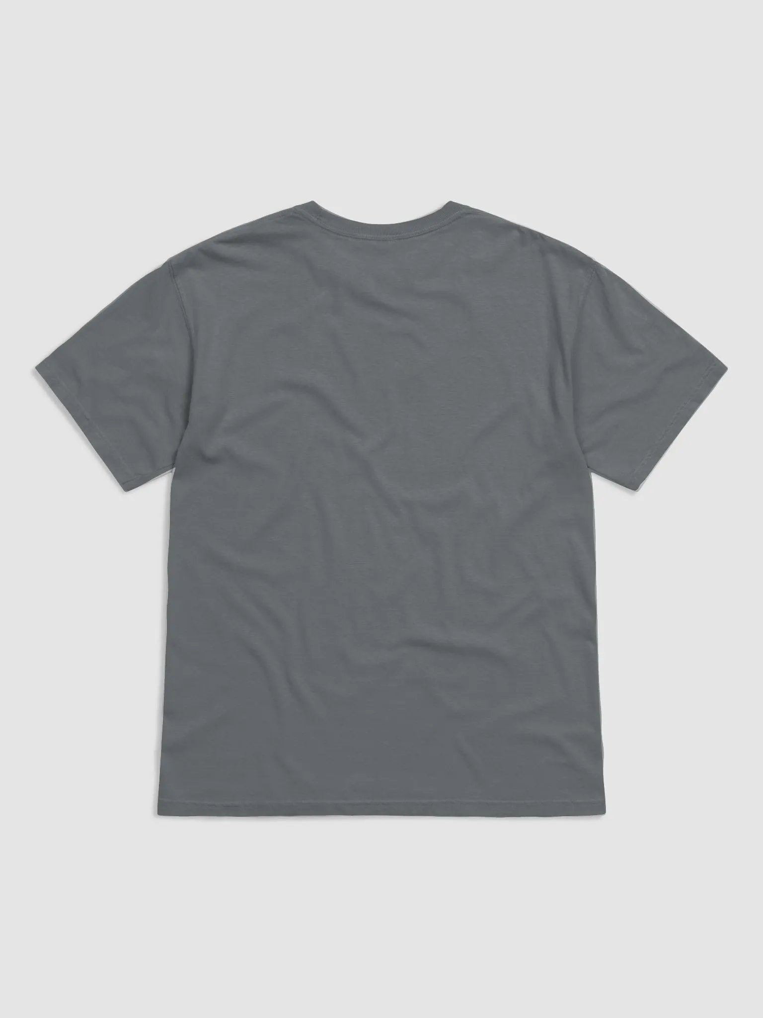 Champion Bolt T-Shirt on Gray/White/Ivory product image (6)