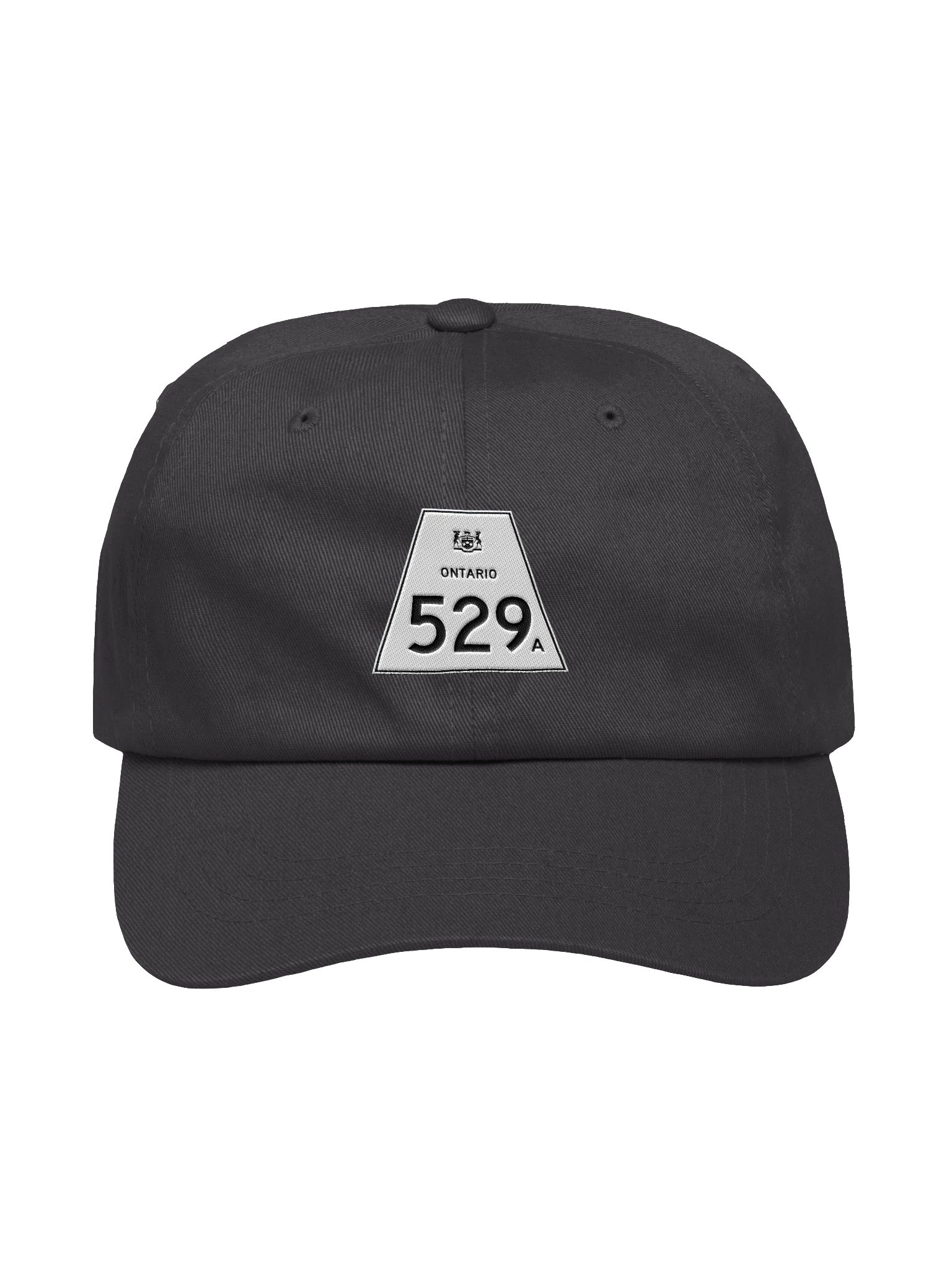 529A Dad Hat product image (17)