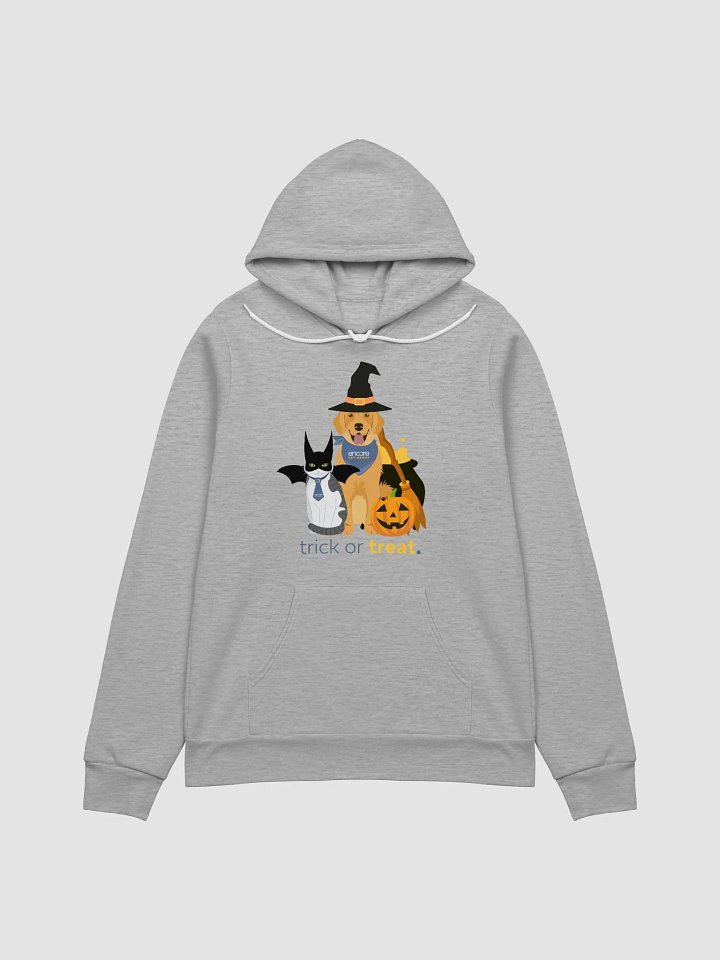 Encore Halloween Bella & Canvas Hoodie product image (1)