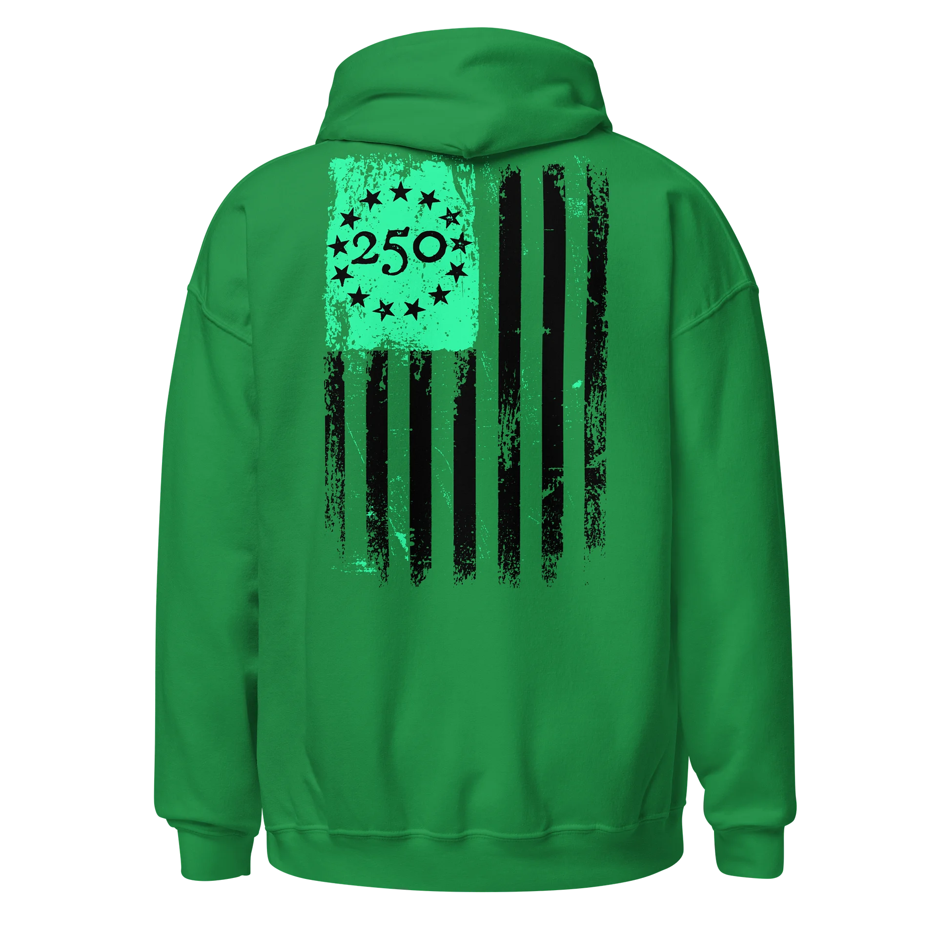 We the People: 250 St. Paddy Edition Hoodie product image (2)