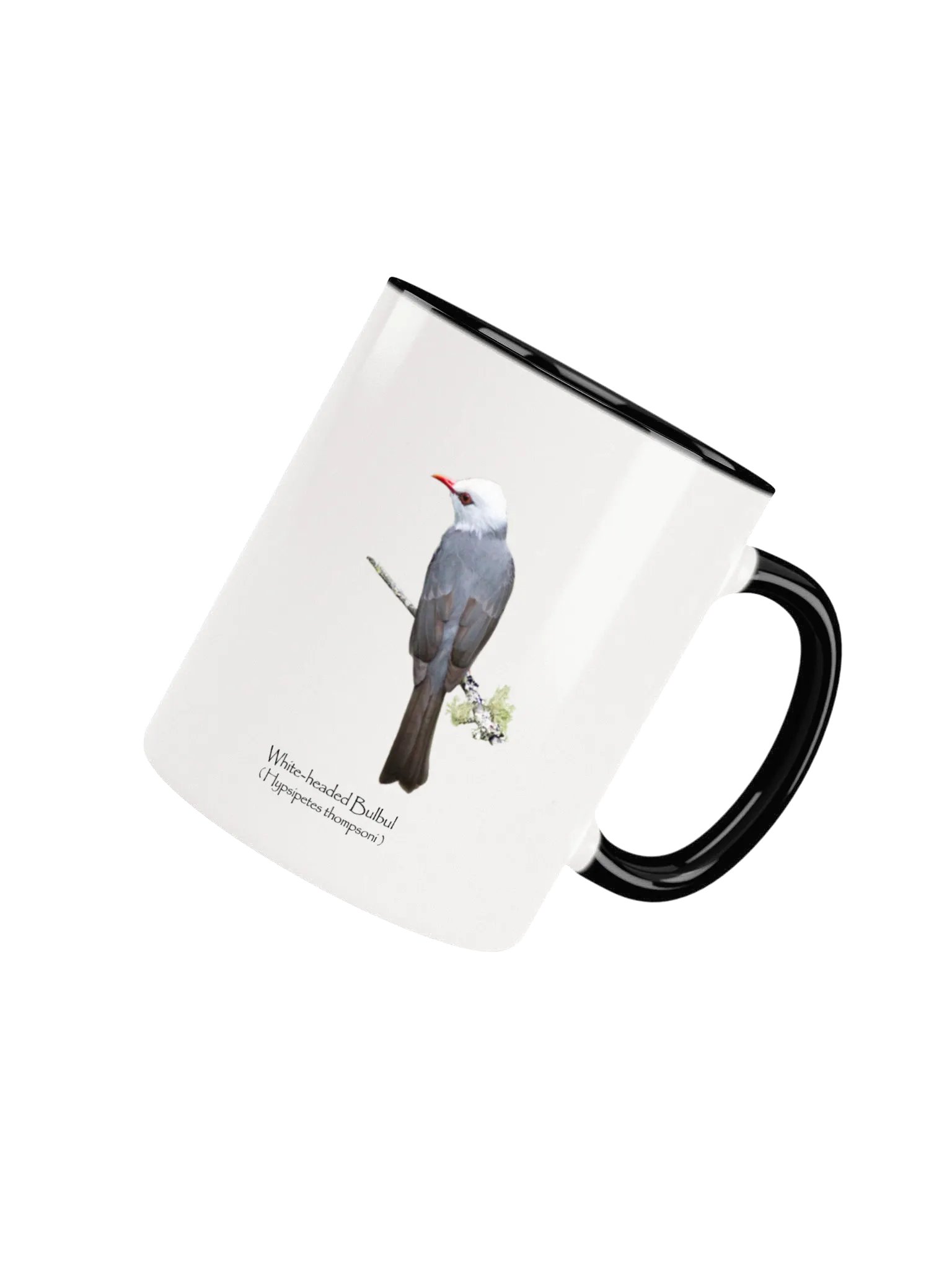 White-headed Bulbul mug product image (34)