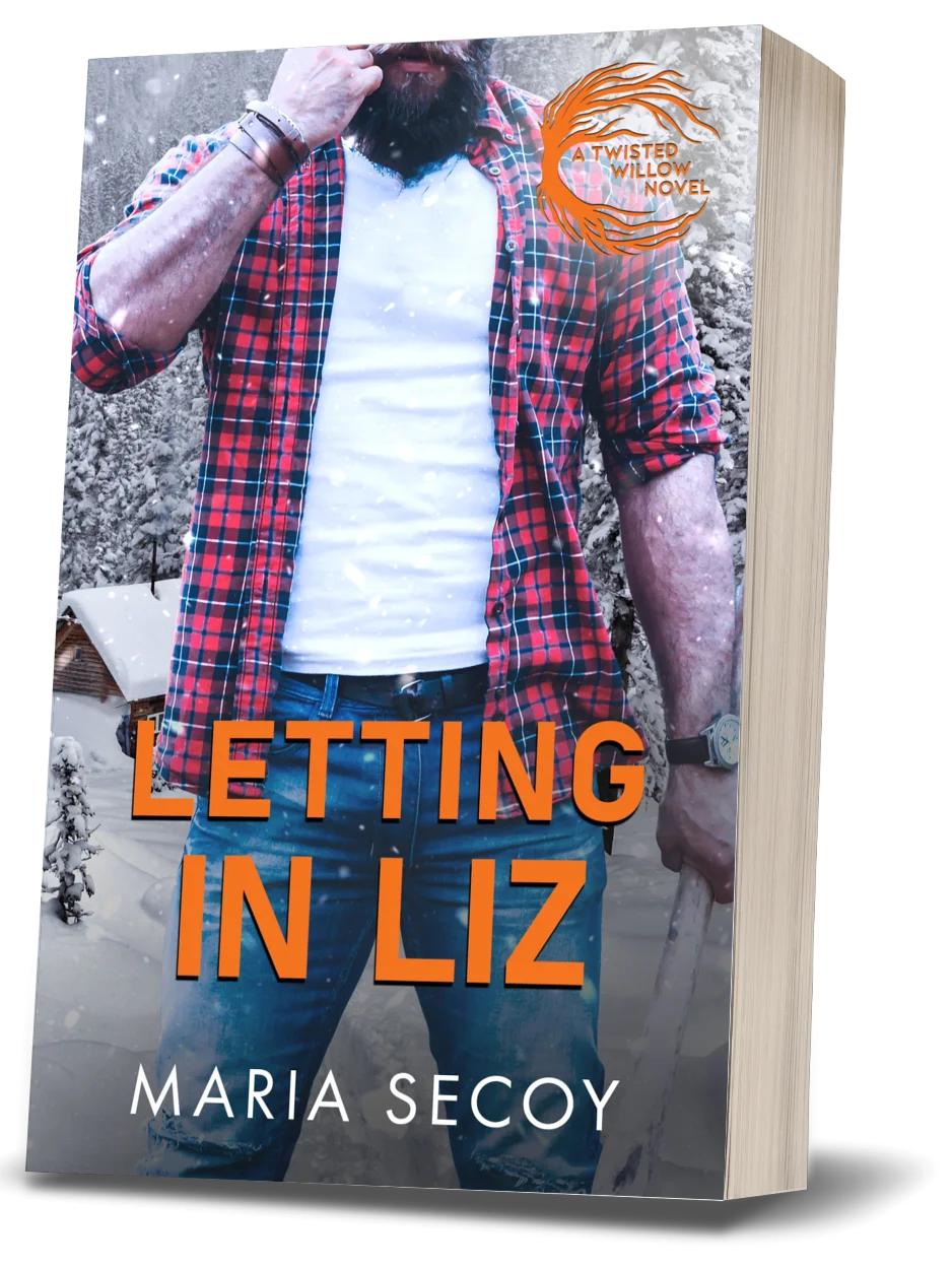 Letting in Liz product image (1)