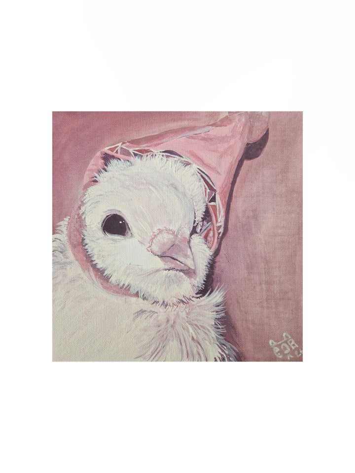 Hat Pigeon print product image (4)