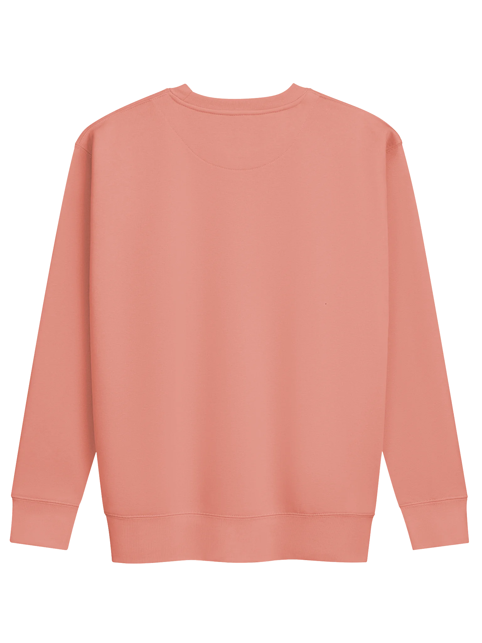 Chatty Pumpkin Premium Sweatshirt | Cozy Chatty Fall Collection product image (2)