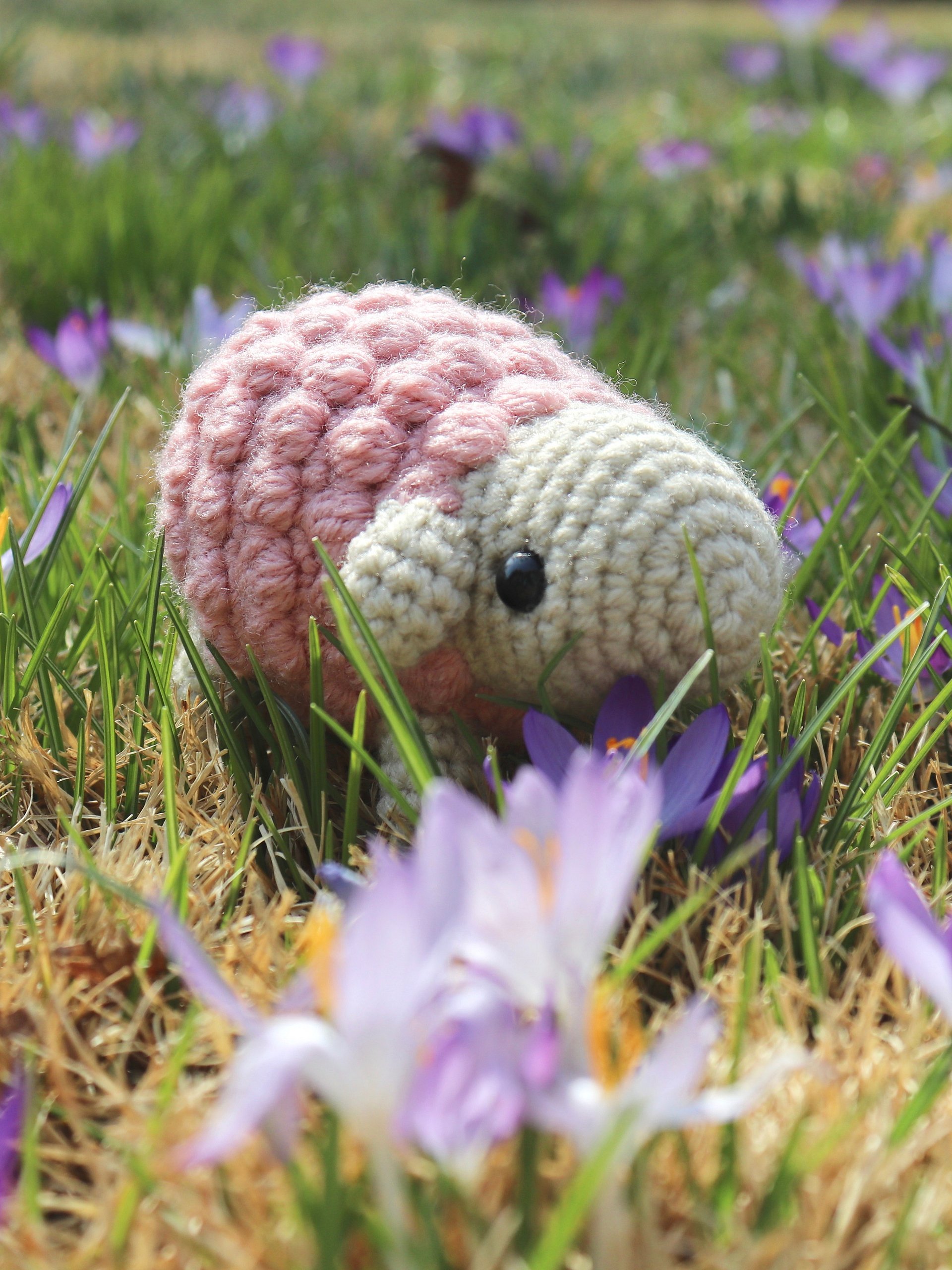 Cheerful Sheep PDF product image (1)