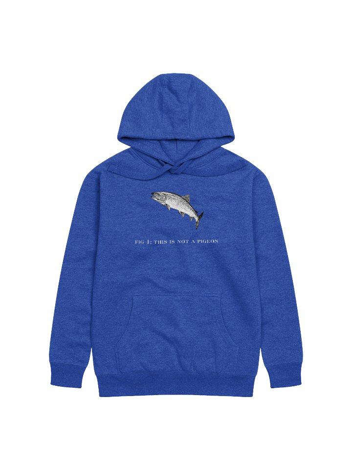 Not A Pigeon-Trout Hoodie product image (12)