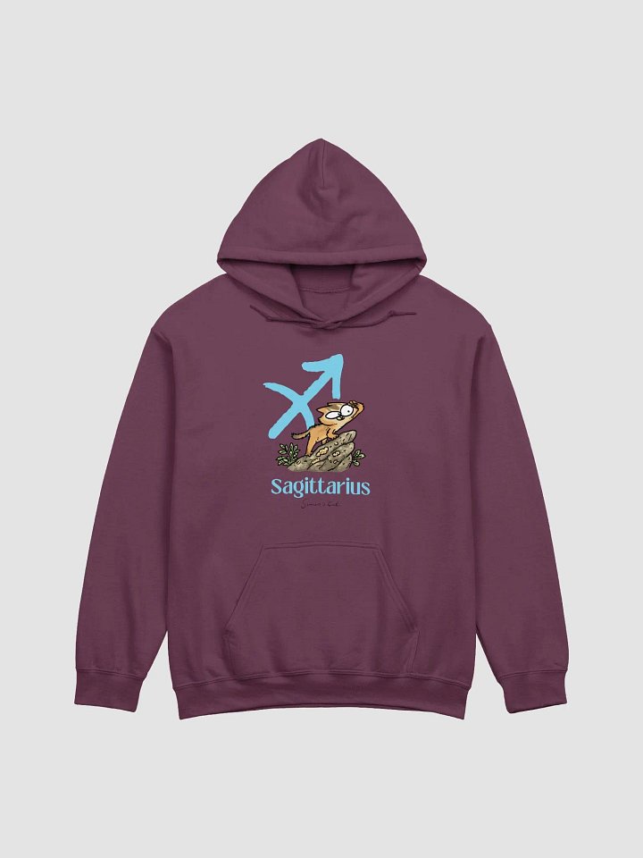 Sagittarius Kitten Hoodie product image (32)