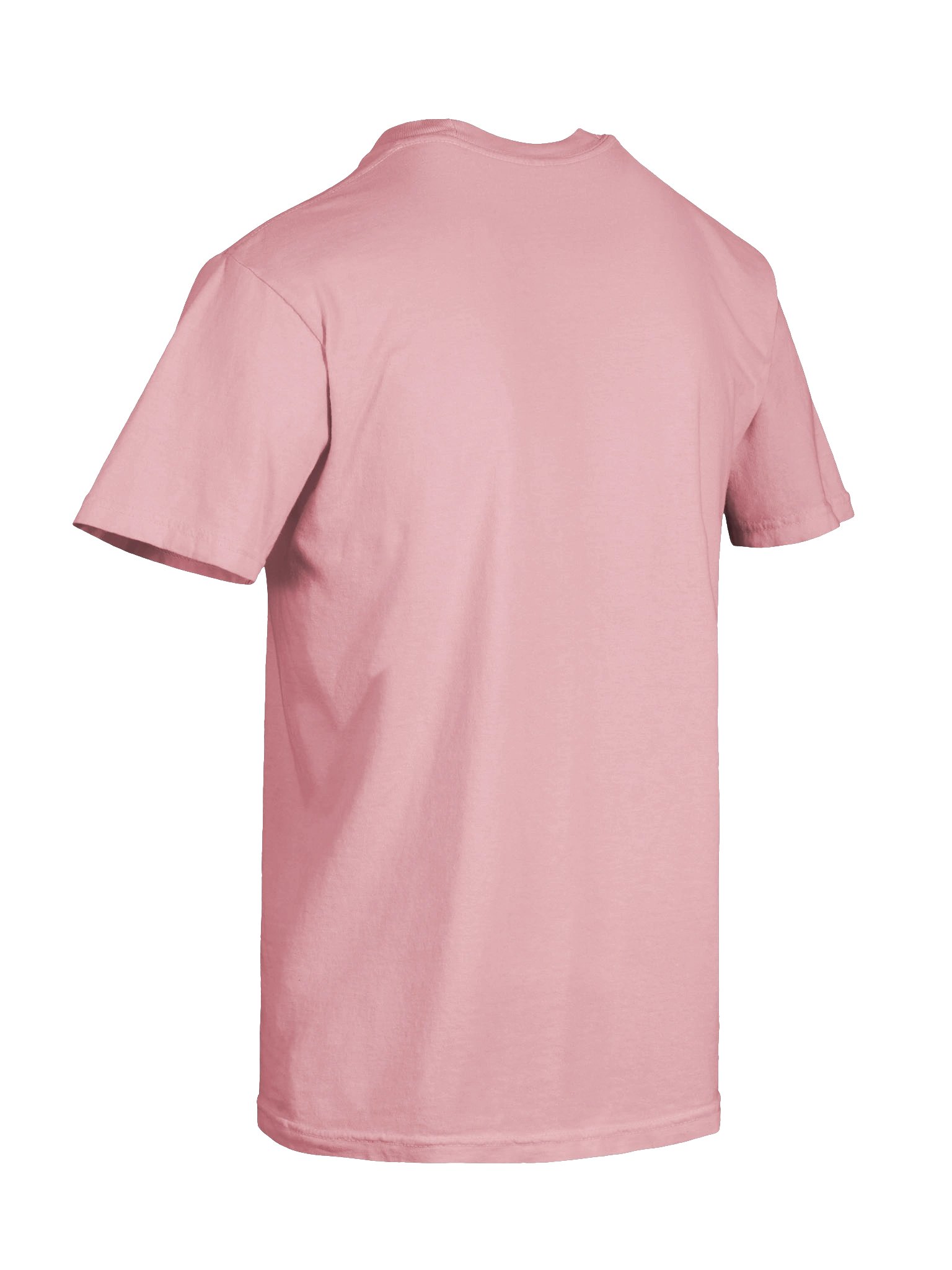 Bug Band Adult Unisex Embroidered Tee Left Chest PinkBug product image (8)