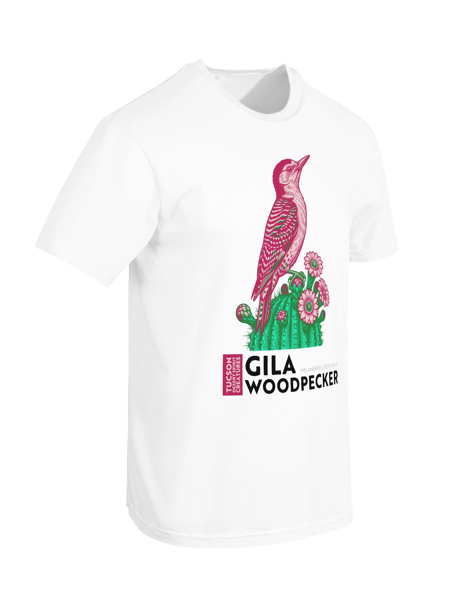 GILA WOODPECKER product image (95)