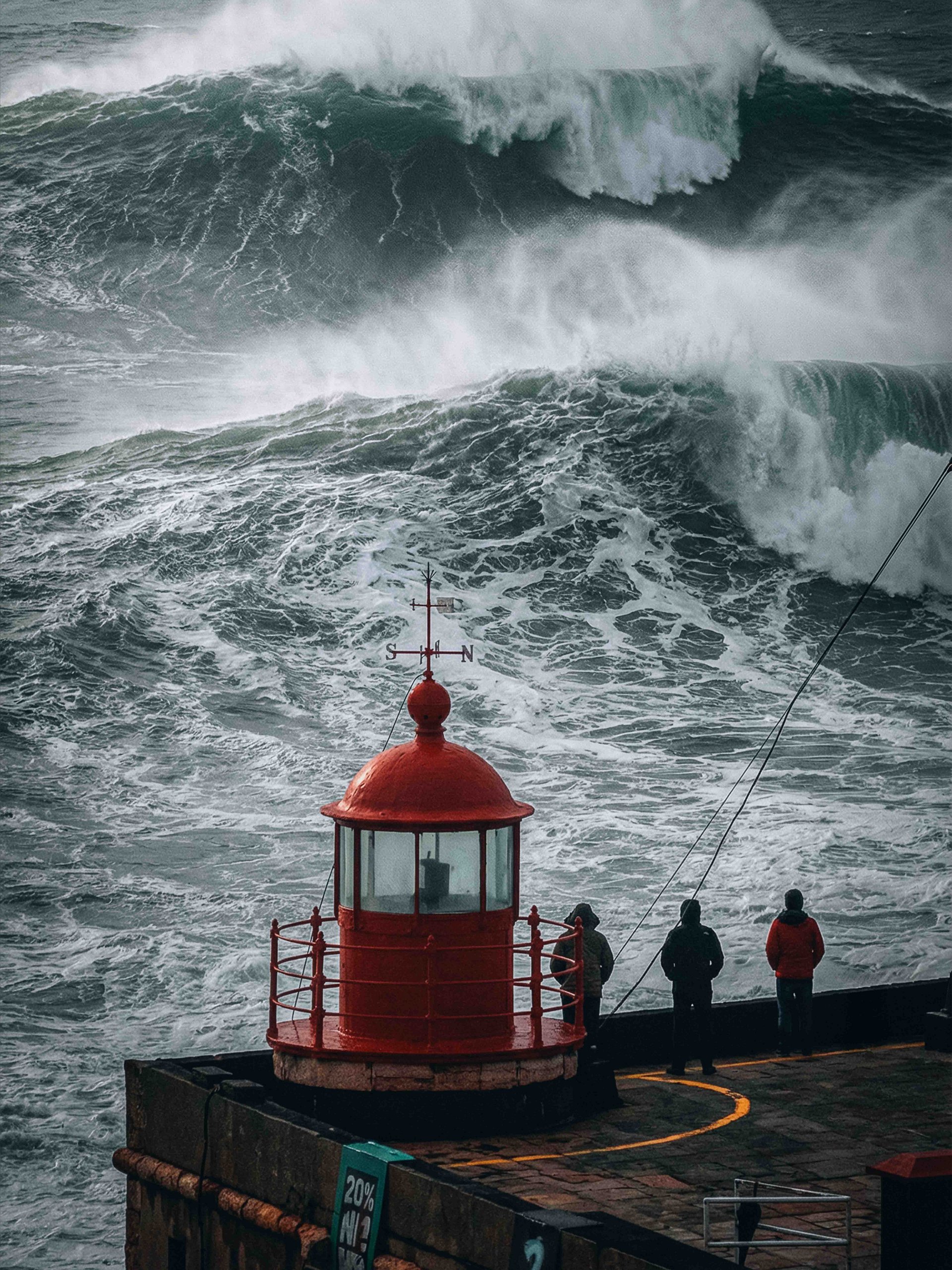 When the Ocean Decides product image (1)