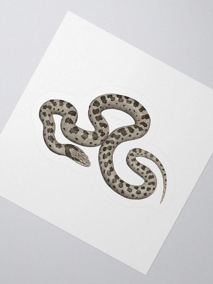 Die-Cut Sticker – Desert Nightsnake product image (2)
