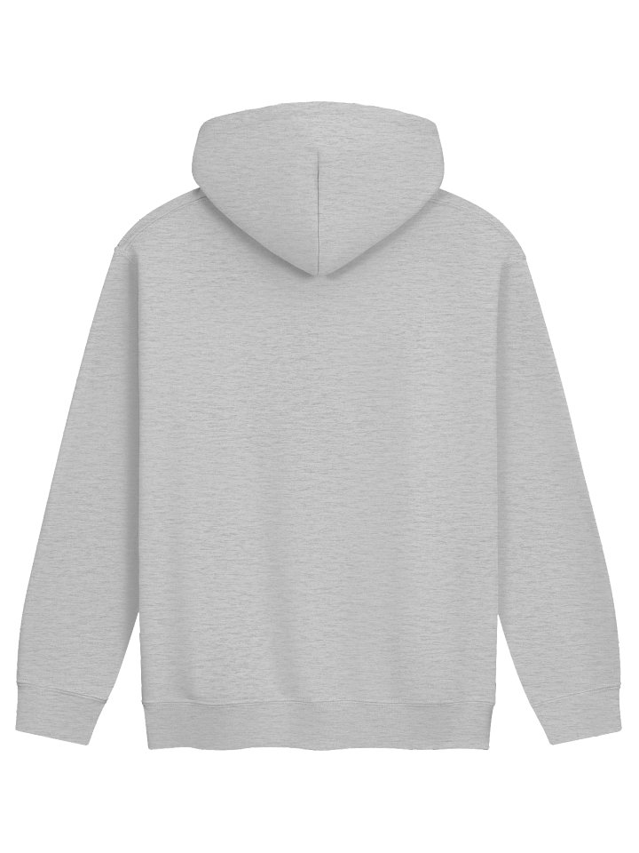 TS1 "OG" LIMITED EDITION HOODIE product image (2)