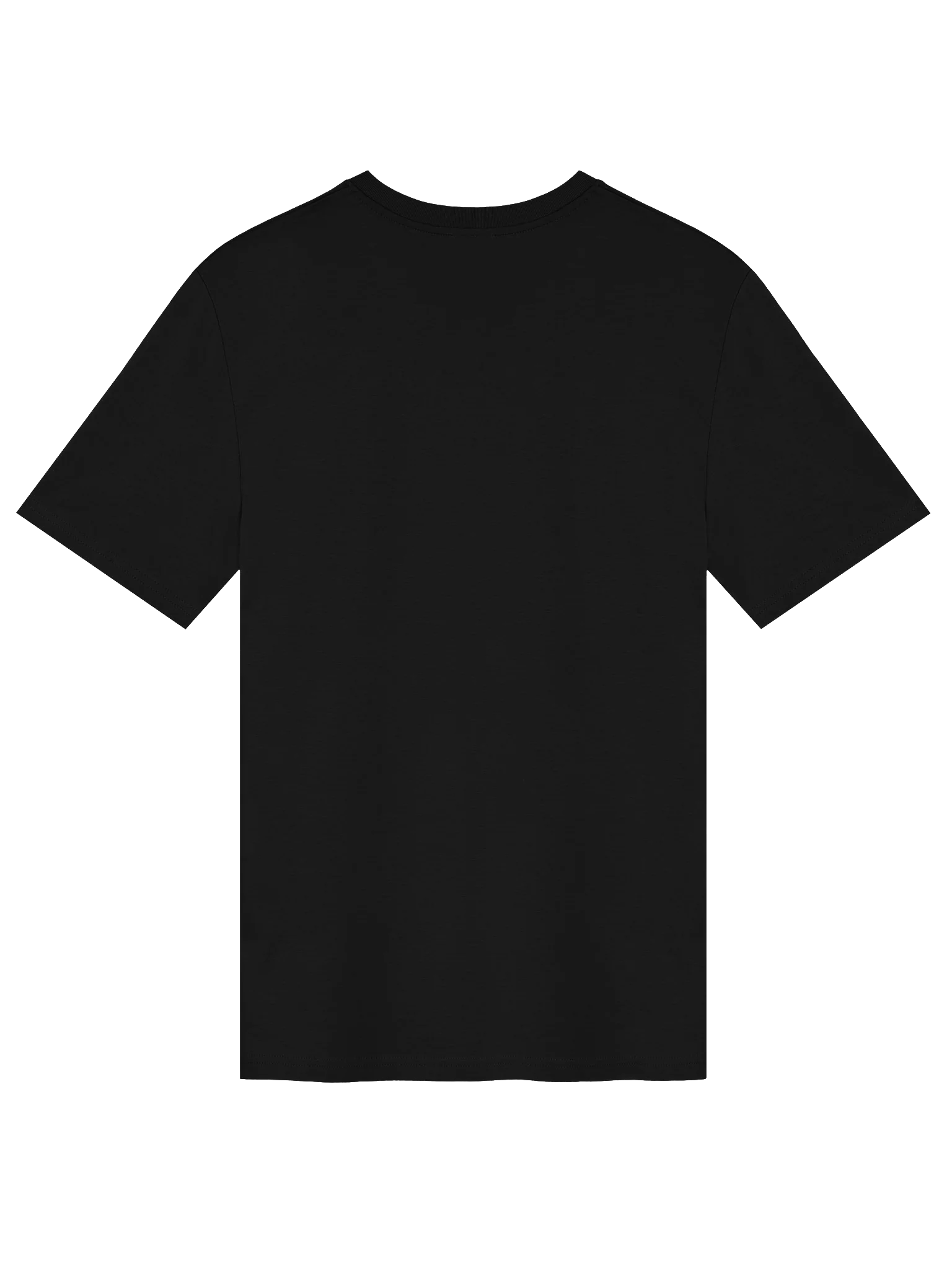 ANTI-ICE & AMAZON TEE. product image (2)