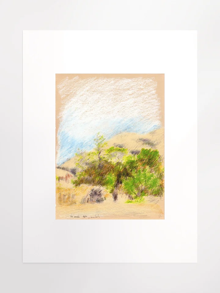 Leo Carillo State Park, CA #1 09.08.86 print product image (2)