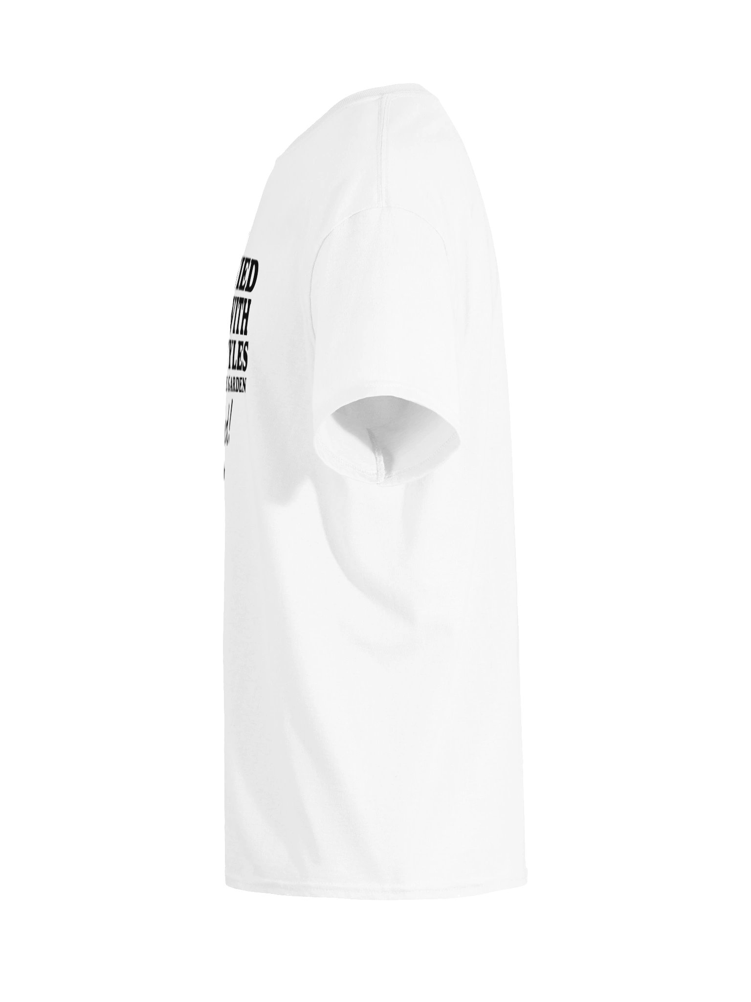 Partied Hard MSG Tee product image (11)