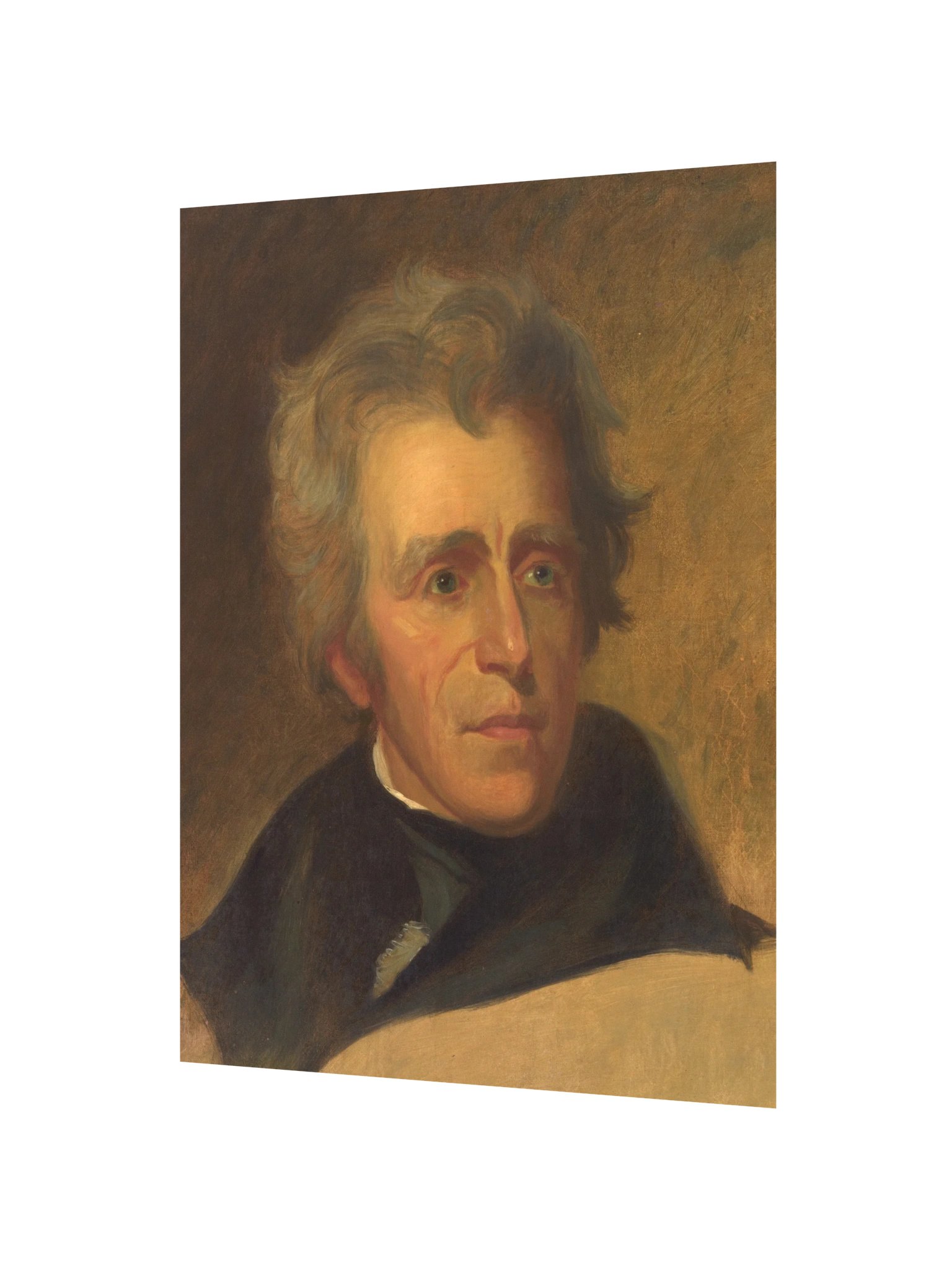 Andrew Jackson Portrait Poster product image (12)