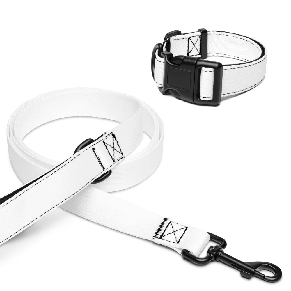 Adjustable Zenith White Pet Collar and Leash Set - Durable & Stylish product image (1)