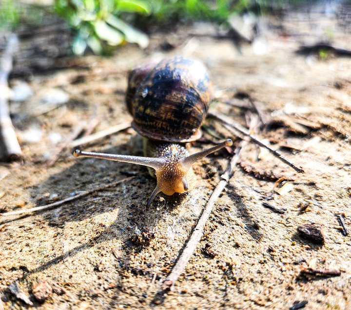 It’s Larry, not Gary. product image (2)