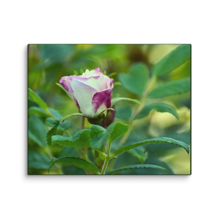 Canvas: One young delight product image (10)