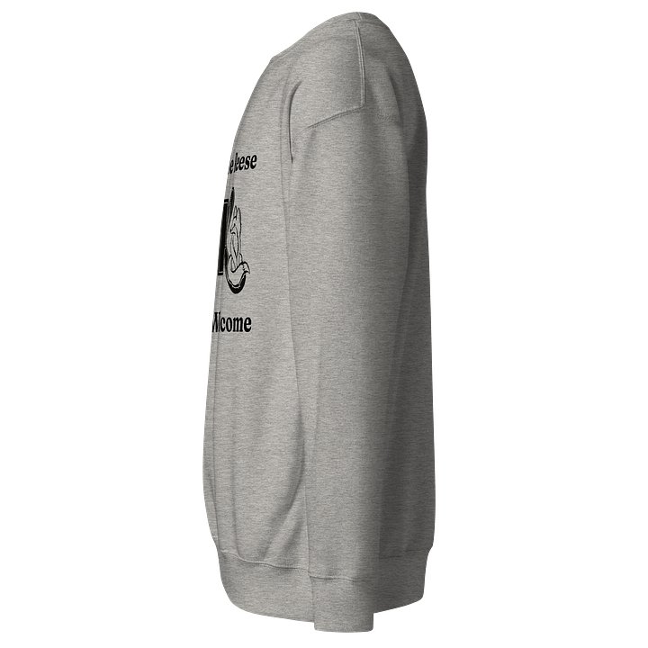 HE&R Sweatshirt product image (3)