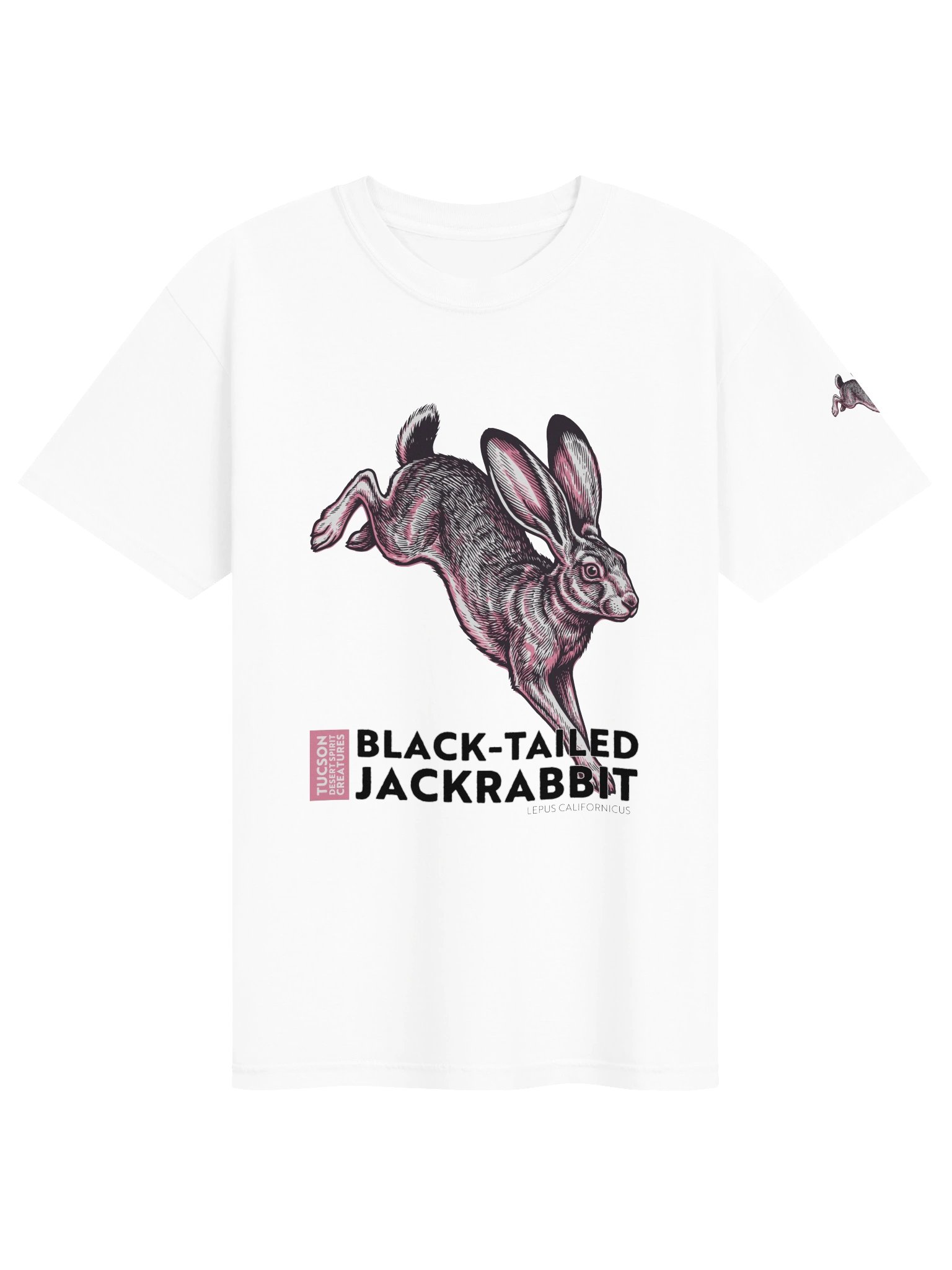 BLACK-TAILED JACKRABBIT product image (7)