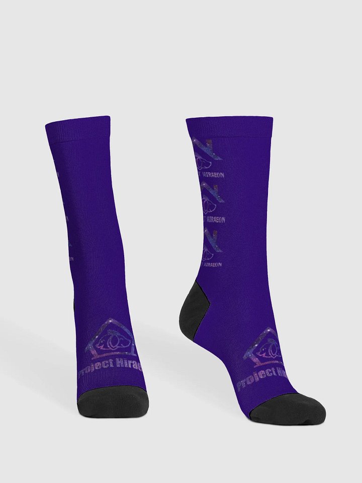 PROJECT HIRAEON SOCKS product image (2)