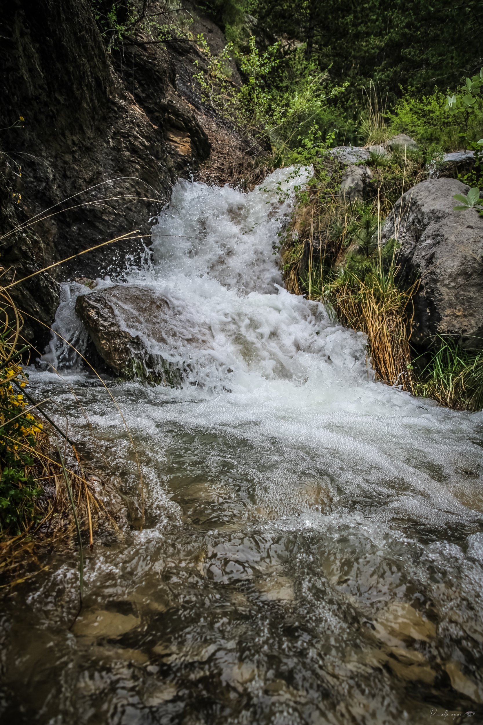 Wild Stream – Pic de Crigne product image (1)