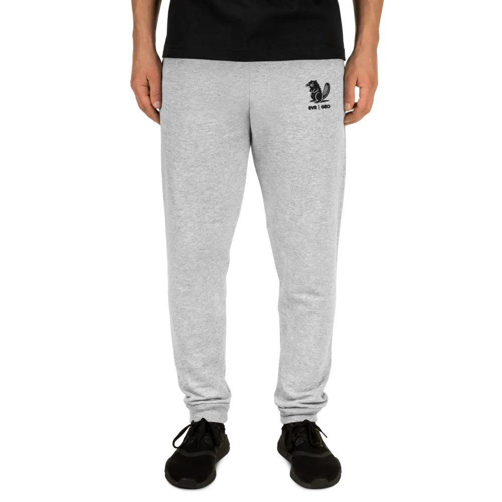 BVR | GEO Classic Joggers product image (3)