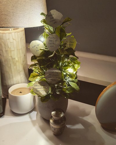 No Christmas tree this year, just my little memory fern 🌿✨ I tucked tiny paper ornaments into the leaves, each one holding a ...