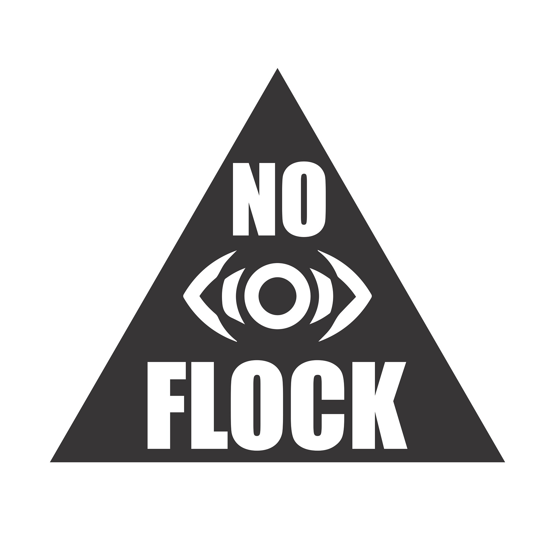 NO FLOCK product image (4)