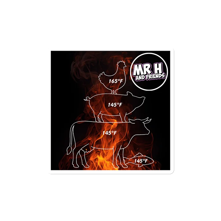 Flames Magnet - USDA Safe Internal Temps product image (2)