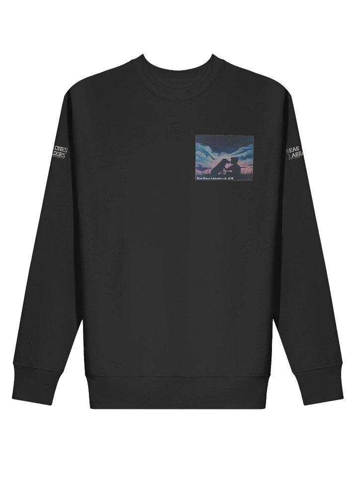 Sweatshirt with Shawna Folden Design product image (10)