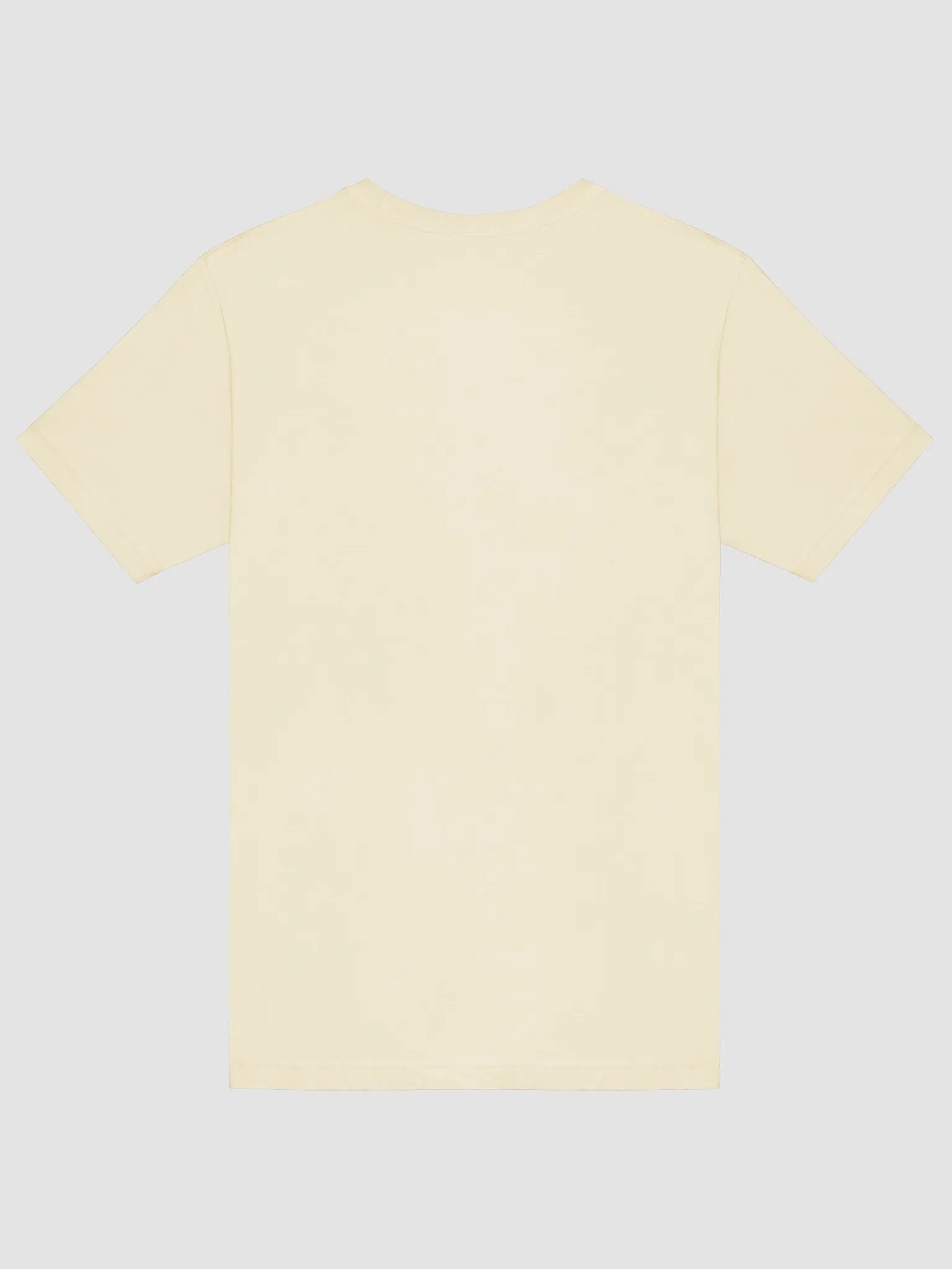 Invitro Fertilization Pregnancy Treatment, Bella Canvas T-shirt product image (17)