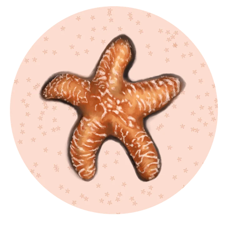 Starfish Sticker product image (1)